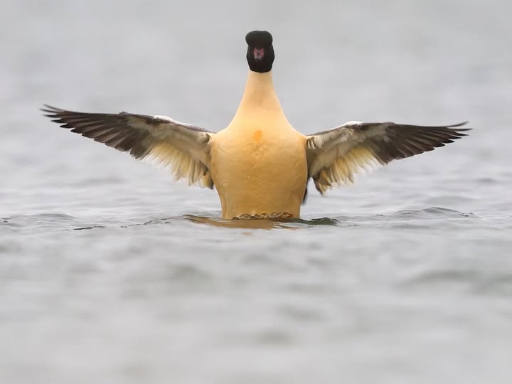 Viimsi Uudised kutsub viimsilasi saatma fotosid siinsest elus-olust, inimestest, loodusest ja loomadest. Nädala jooksul laekunud fotodest avaldab toimetus igal