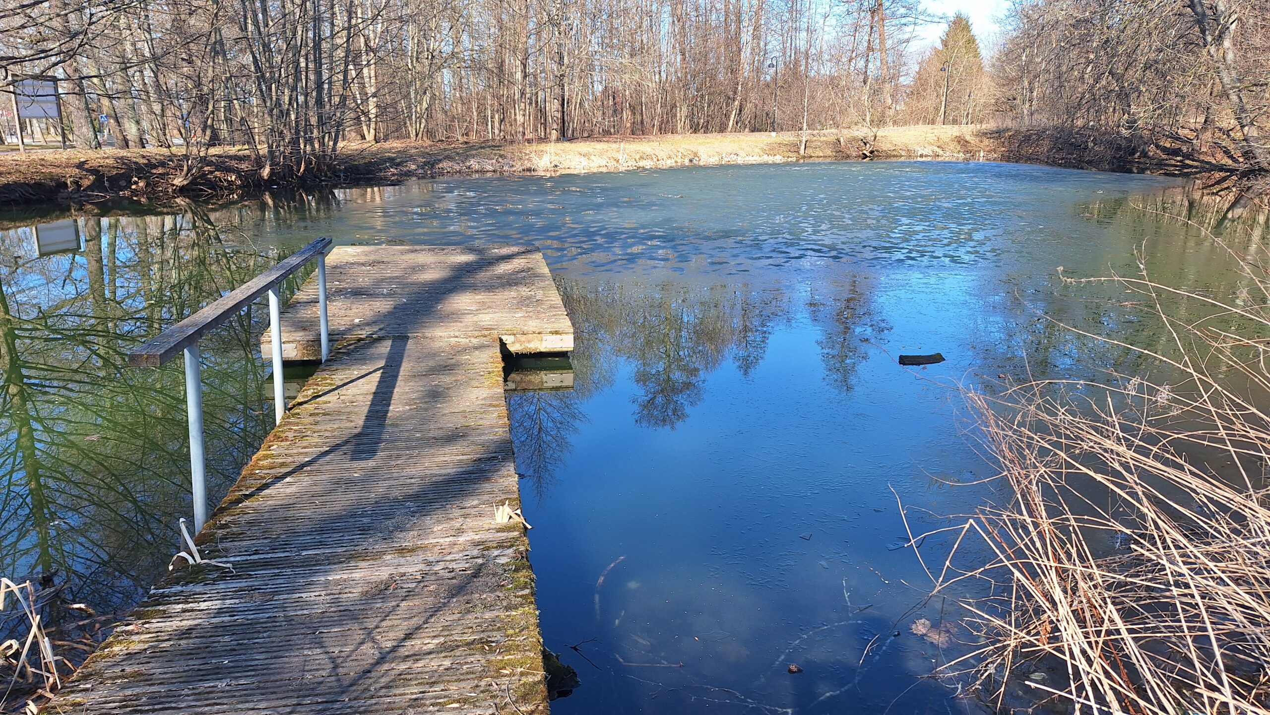 Viimsi Uudised kutsub viimsilasi saatma fotosid siinsest elus-olust, inimestest, loodusest ja loomadest. Nädala jooksul laekunud fotodest avaldab toimetus igal 