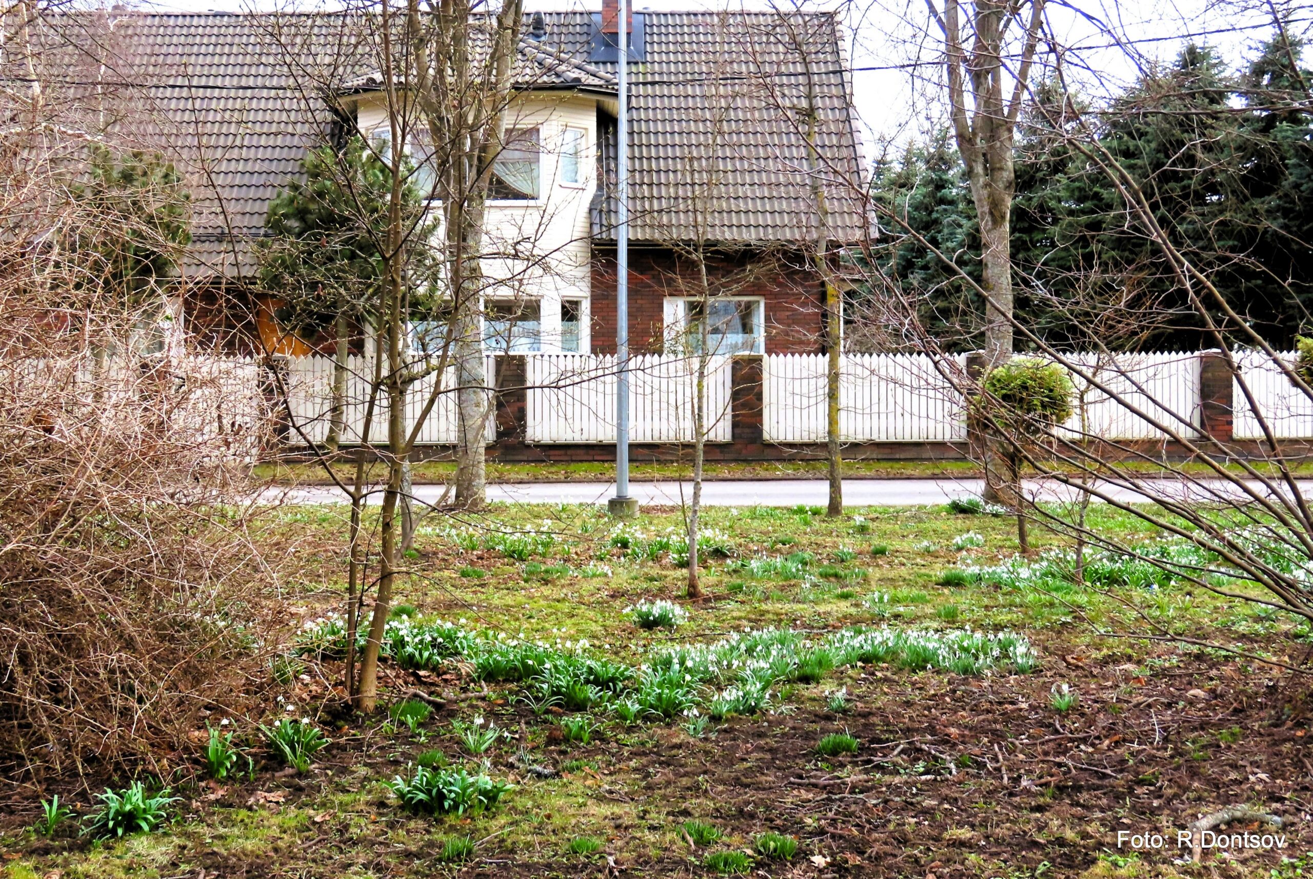 Viimsilane Ruslan Dontsov jäädvustas aprilli alguses motiive Haabneemes. Kui lugu meeldis, siis palun toeta sõltumatut kogukonnaportaali ning ANNETA. Viimsi Uud